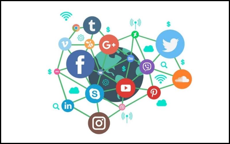 backlink profile 1