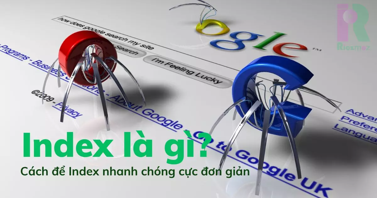Tầm Quan Trọng Của Google Index Đối Với SEO