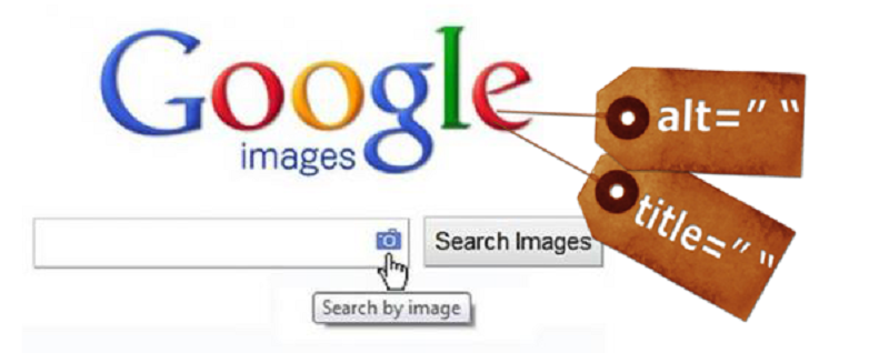 SEO Hình Ảnh Lên Google: Hướng Dẫn Chi Tiết Cách SEO Image Hiệu Quả