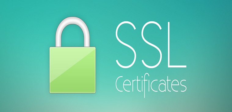 SSL là gì? Tất tần tật về chứng chỉ SSL, bảo mật SSL và cách kiểm tra SSL cho website 4 SSL là gì? Tất tần tật về chứng chỉ SSL, bảo mật SSL và cách kiểm tra SSL cho website